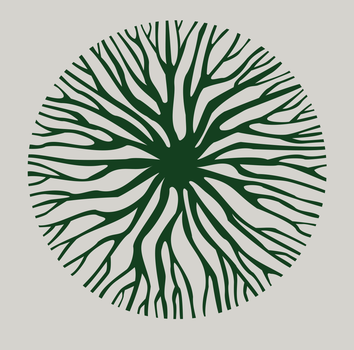 Logo Centra za mentalno zdravlje Vijal